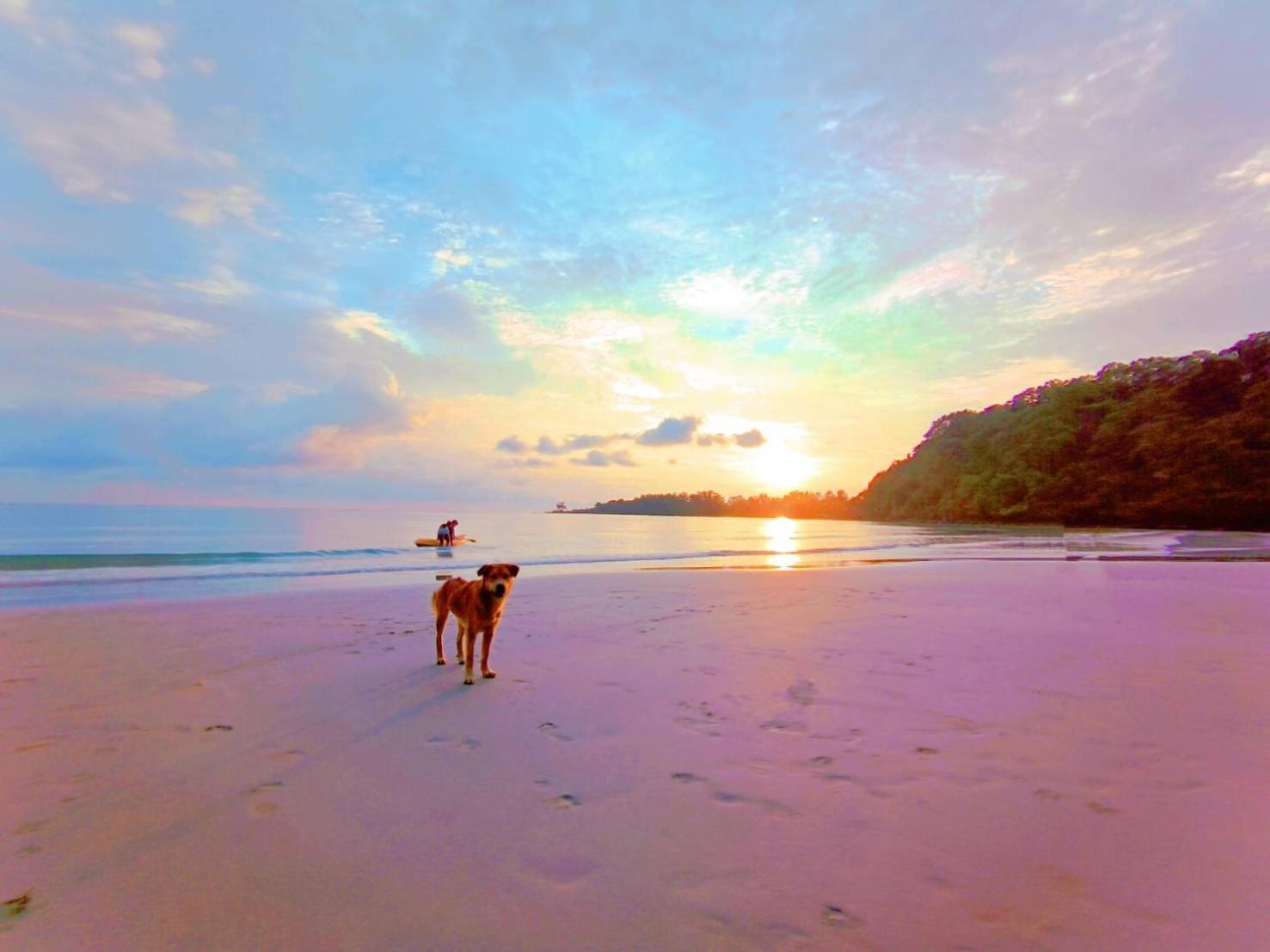 Koh Kood Neverland Beach Resort Ko Kut Экстерьер фото